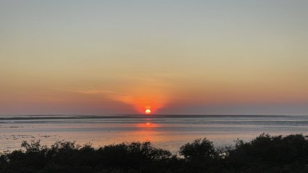 IMG_8403.JPG