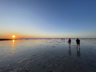 IMG_8411.JPG