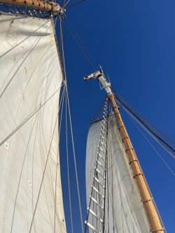 IMG_8493.JPG