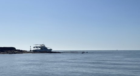 IMG_8525.JPG