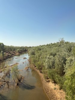 IMG_8583.JPG