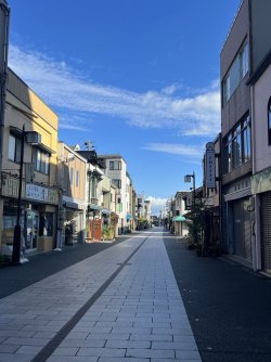 IMG_0981.jpeg