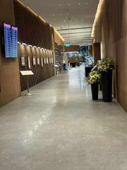 IMG_5670.JPG