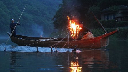 Cormorant Fishing.jpg