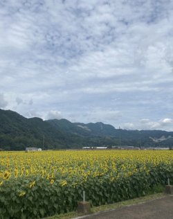 thumbnail_IMG_2025.jpg