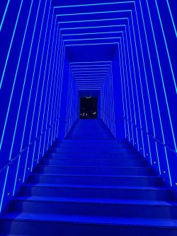 IMG_0450.jpeg