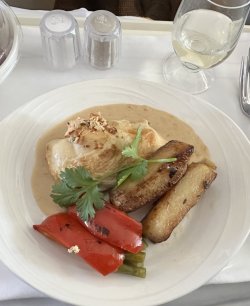 IMG_8681.jpeg IMG_8681.jpeg