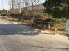 Resize of IMG_2587.JPG