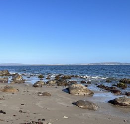 IMG_8207.jpg