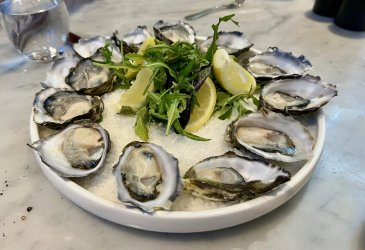 Oysters.jpg