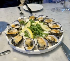 Oysters2.jpg