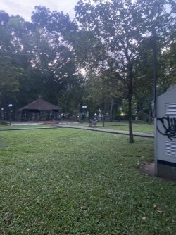 0B11057F-ACE8-4E3B-9DA3-FE634526ADEC_1_105_c.jpeg