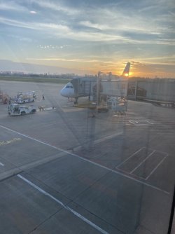 1D205AB3-F79B-46E6-84A0-148BB53C3808_1_105_c.jpeg
