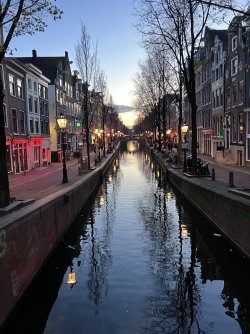 IMG_5448.jpeg