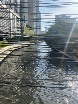 95EB941D-65E0-417B-B07A-9BCBE3194EA6_1_105_c.jpeg