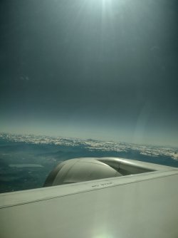 IMG_20231117_002236518_HDR.jpg