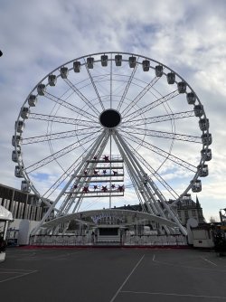 IMG_5952.jpeg