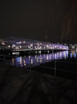 IMG_6137.jpeg