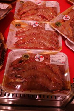 DSC00017.JPG