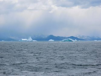 IMG_3306.JPG