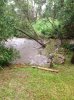 ImageUploadedByAustFreqFly1424378600.764387.jpg