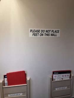 IMG_2331.jpeg