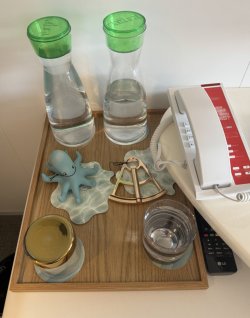 IMG_0225.JPG