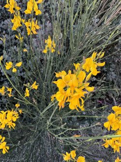 IMG_0293.JPG