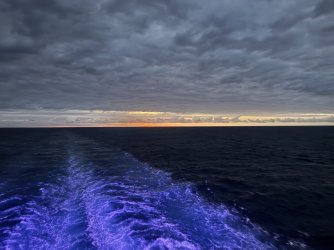 IMG_0322.JPG