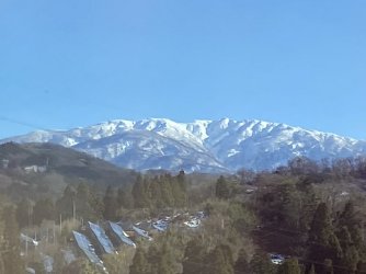 IMG_7061.jpg