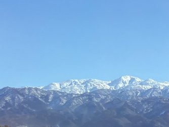 IMG_7071.jpg