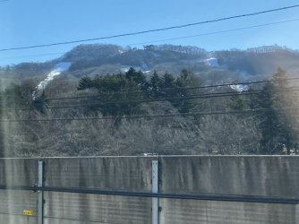 IMG_7121.jpg