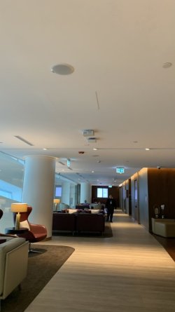 IMG_9493.JPEG IMG_9493.JPEG