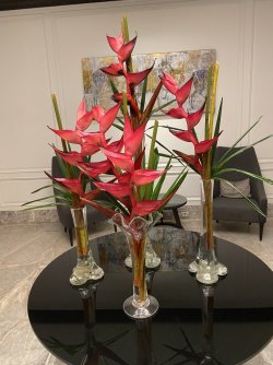 IMG_7581.jpg