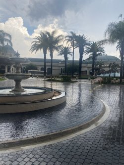 IMG_6482.jpeg