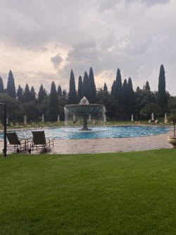 IMG_6495.jpeg