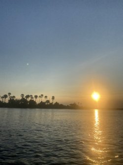 2DD37092-C701-4E47-BFFF-D3C959853907_1_105_c.jpeg