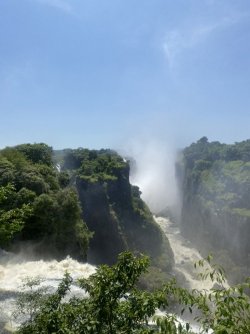 E77203D5-5969-44DC-B15A-77720622A417_1_105_c.jpeg