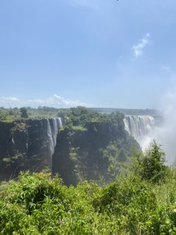 005D7609-0E77-4B9B-AF79-61551ED426DA_1_105_c.jpeg