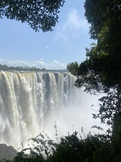 92505F71-2D69-452F-A162-C08FA610F2CE_1_105_c.jpeg