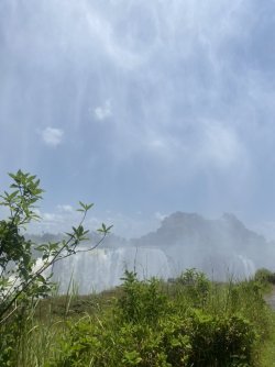 E5CCCCBE-41E9-4771-A04D-D1B7FC198DC2_1_105_c.jpeg