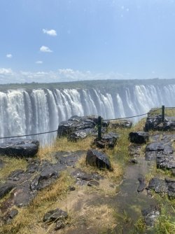 CE949973-C1D0-4878-B689-7E4CACE73F20_1_105_c.jpeg