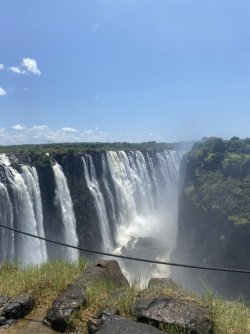 D0B9F63C-D2A7-487F-AD0D-218A5C54236D_1_105_c.jpeg