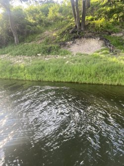 42731ED4-3413-45C4-9F14-E36E00B2A251_1_105_c.jpeg