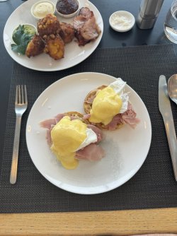 IMG_3102.JPEG