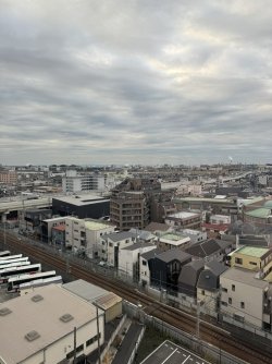 IMG_3145.JPEG