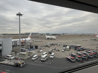 IMG_3160.JPEG