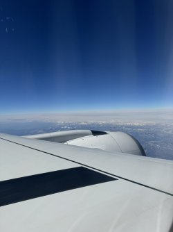 IMG_3173.JPEG