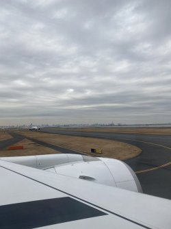 IMG_8575.JPEG