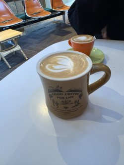 IMG_3242.JPEG
